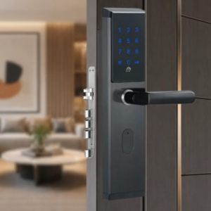 Cerradura TTLOCK acero inoxidable (clave, tarjeta, llave, app) para airbnb